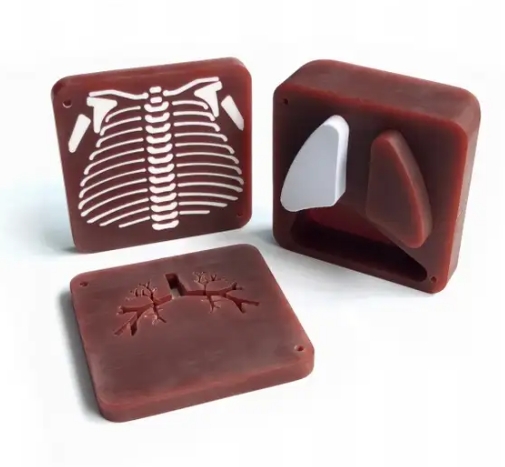 新生兒胸部模體2 新生兒胸部模體2